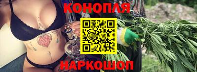 спиды Камышлов