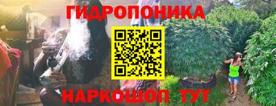 ешки Кандалакша