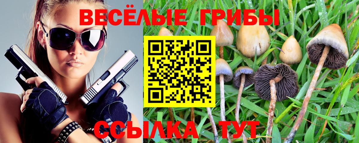Галлюциногенные грибы Cubensis Великий Новгород
